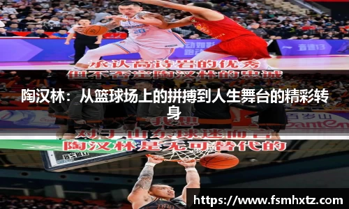 陶汉林：从篮球场上的拼搏到人生舞台的精彩转身